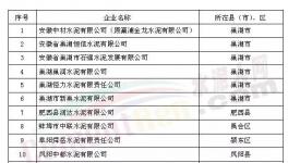 中材、中聯(lián)水泥等13家企業(yè)被列審核名單