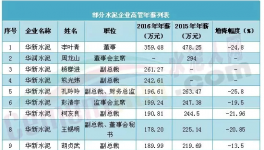 水泥企業(yè)高管年薪普降 高管年薪不太高