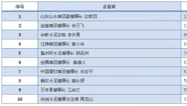 哪家水泥品牌能代表國內(nèi)的先進(jìn)水平