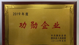 濟寧中聯(lián)榮獲“2019年度功勛企業(yè)” 榮譽稱號