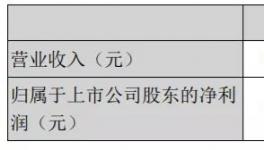 天山股份年報(bào)：2020年實(shí)現(xiàn)凈利潤(rùn)15.16億元！