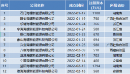 瘋狂！海螺成立96家“能源”公司！