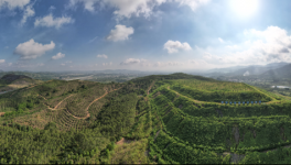 從滿目瘡痍到無塵、清潔、生態(tài)礦山，3年見證涅槃重生！