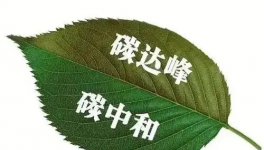 縫出匠心！這家環(huán)保企業(yè)脫穎而出！市場占有率名列前茅！