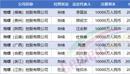 大動(dòng)作！中建材、海螺、紅獅成立35家新公司！